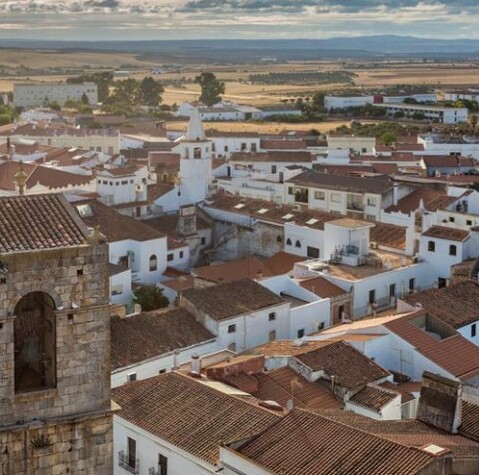 dia de la comarca de olivenza.jpg